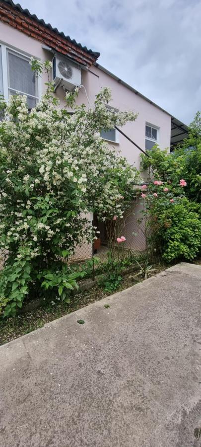 Guest House Mushmula New Athos ภายนอก รูปภาพ